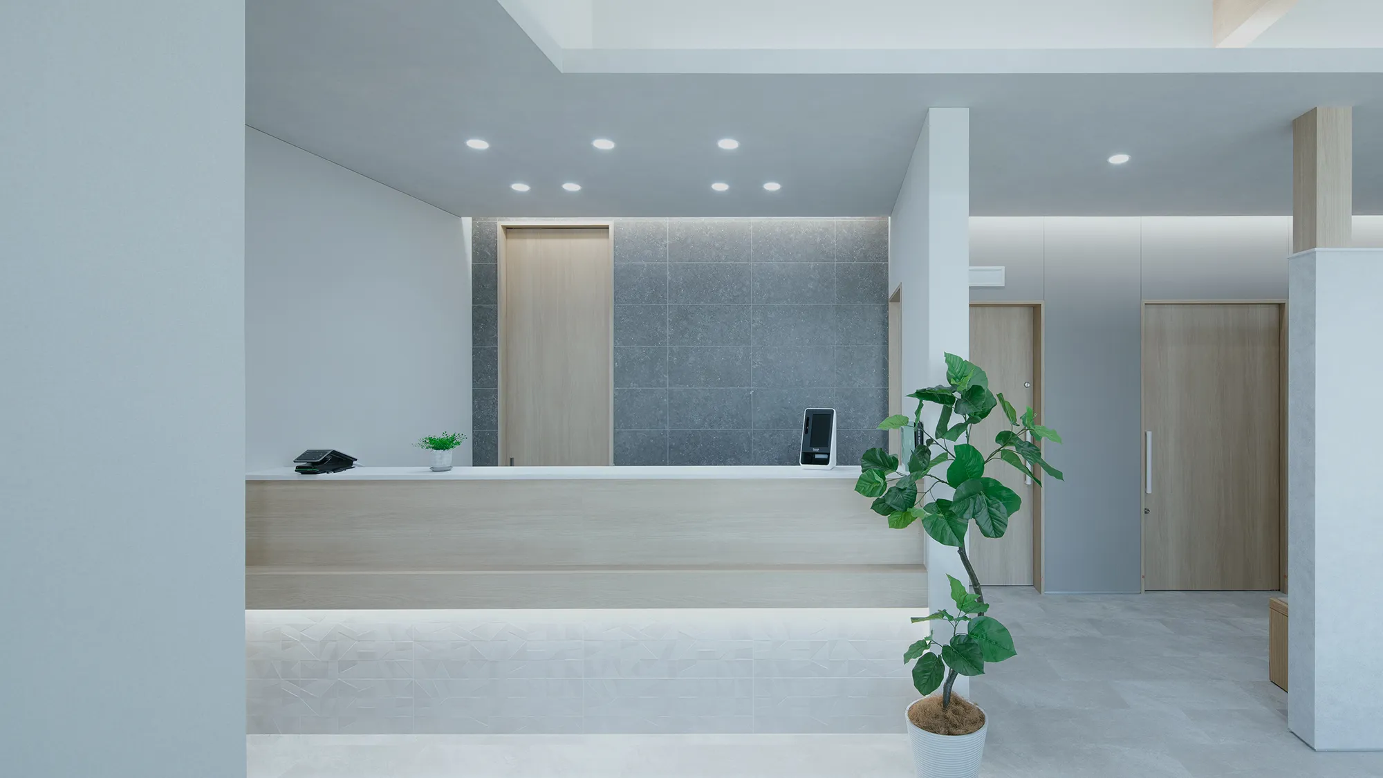 Modern reception lobby with a light wood counter, gray tile wall, and a large potted plant in the foreground.